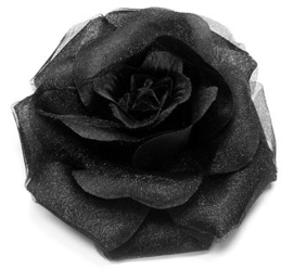 Grote roos op klem zwart