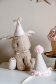 Mini Feesthoedje ( Voor Beer of Pop)