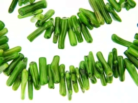 Koraal stokjes groen ca. 15-20x3mm