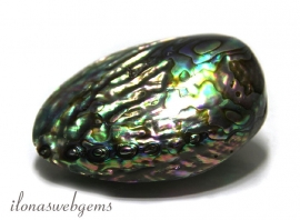 Abalone Shell kraal  ca. 55x40x24mm (J67)