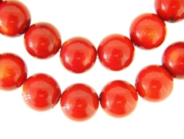 Bloedkoraal rood rond ca. 13mm