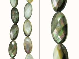 Tahiti shell facet ovaaltjes ca. 16x8x5mm