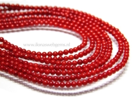 Koraal kralen rood rond ca. 4mm (F19)