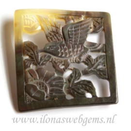 Black lip shell hanger ca. 50x44mm