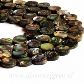 Abalone kralen coins ca. 10x3mm