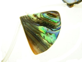 Abalone kralen ca. 20x3 tot 13x2mm