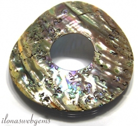 Abalone shell donut ca. 64mm (A4-a)