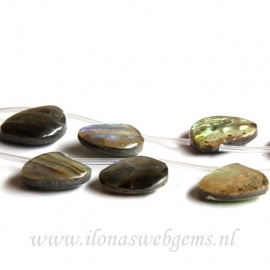 Abalone kralen blaadjes ca. 20x16x5mm (A2)