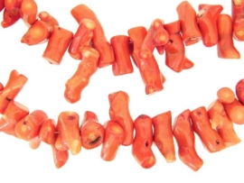 Koraal stokjes oranje-rood ca. 10-25mm