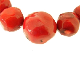 Bloedkoraal rood ca. 12 tot 25mm