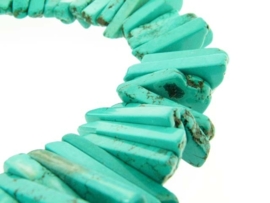 Howliet turquoise choker grote maat