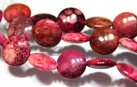 Fossilkoraal fuchsia coins ca. 20x7mm