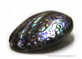 Abalone Shell kraal  ca. 51x38x19mm (J99)