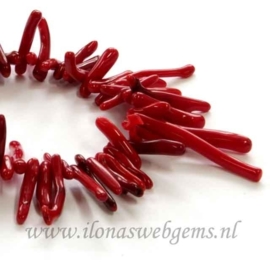 Koraal takjes rood ca. 15-45x3-6mm grote maat