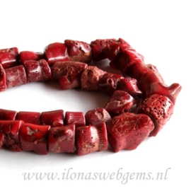 Koraal rood ca. 10-13mm B kwaliteit