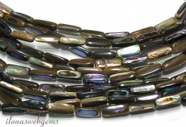 Abalone shell kralen ca. 15x5mm (H2)