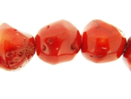 Bloedkoraal rood ca. 12 tot 25mm