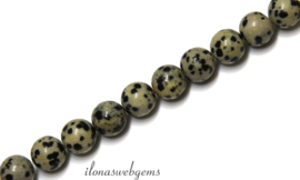 10 strengen Dalmatier Jaspis kralen rond ca. 4mm (52)