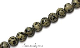 10 strengen Dalmatier Jaspis kralen rond ca. 8mm (52)