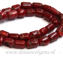 Bloedkoraal rood ca. 12x15mm B kwaliteit