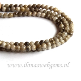 Silver leaf Jaspis rond ca. 4mm