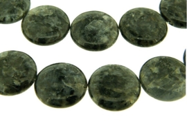 Larvikiet coins ca. 25mm