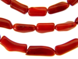 Koraal rood ca. 7-10x5mm