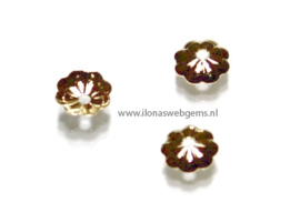 50 stuks Gold filled kralenkapjes ca. 5mm