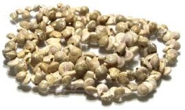 Schelp kraaltjes naturel ca. 9x6mm (J16)