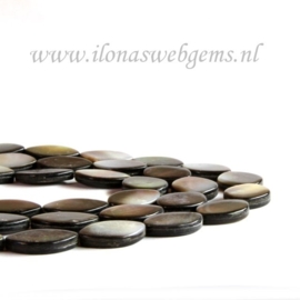 Black lip shell blaadjes ca. 20x15x5mm (F43)