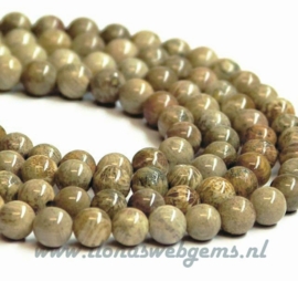 Fossilkoraal kralen rond ca. 10mm (F32)