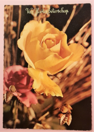 Vintage ansichtkaart Van Harte Beterschap - gele roos 2