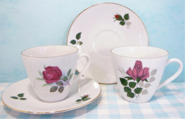 Vintage Bavaria servies -  kop en schotel met roosjes