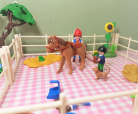 Playmobil set manege - paarden - boerderij - kinderboerderij