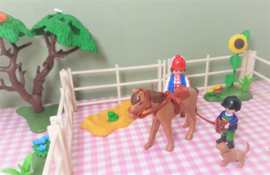 Playmobil set manege - paarden - boerderij - kinderboerderij