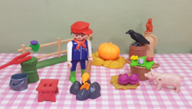 Playmobil Boerderij set  accessoires- Halloween - Herfst