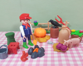 Playmobil Boerderij set  accessoires- Halloween - Herfst