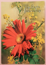 Vintage ansichtkaart Van Harte Beterschap - rode bloem