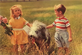 Vintage ansichtkaart kinderen met pony