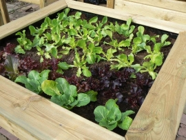 1 meter easytuin