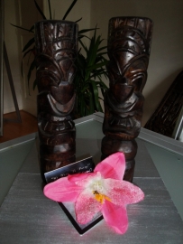 Lila Jo, Pink Sparkle Lily