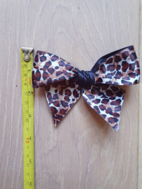 Lila Jo, Leopard bow.