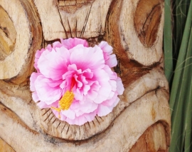 Lila Jo, Pink and White Hibiscus.