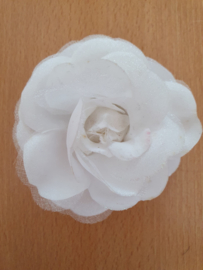 White Small Rose.