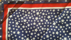 Bandana Blue Stars