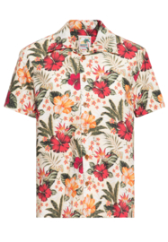 King Kerosin, Hawaii Shirt