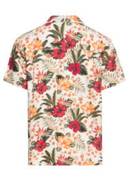 King Kerosin, Hawaii Shirt