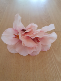 Pink Pinup Hair Hibiscus.