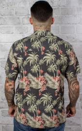 Karmakula, Bondi Khaki Hawaiien Shirt.