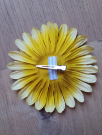 Yellow Viva las Vegas Daisy.
